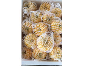 新鲜蔬菜批发的商机与邮编商务网的整合价值