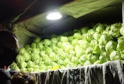 别慌！500吨新鲜菜来了，天津人今天就能买到