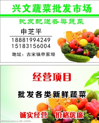 新鲜蔬菜批发 连接田间与餐桌的绿色桥梁