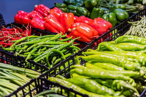 临汾市推进2020年度“菜篮子”县长负责制考核 聚焦新鲜蔬菜批发环节